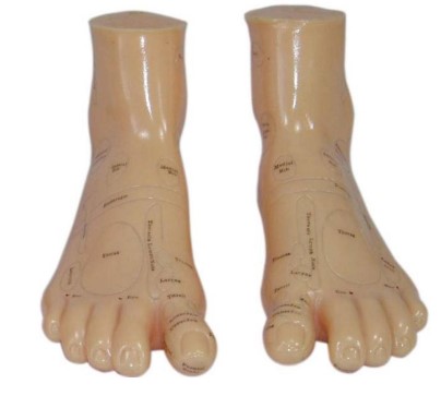 Mô hình bàn chân Massage 17cm
